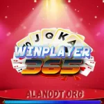 winplayer 365