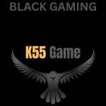 k55 game